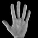 hand
