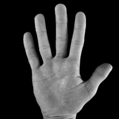 hand